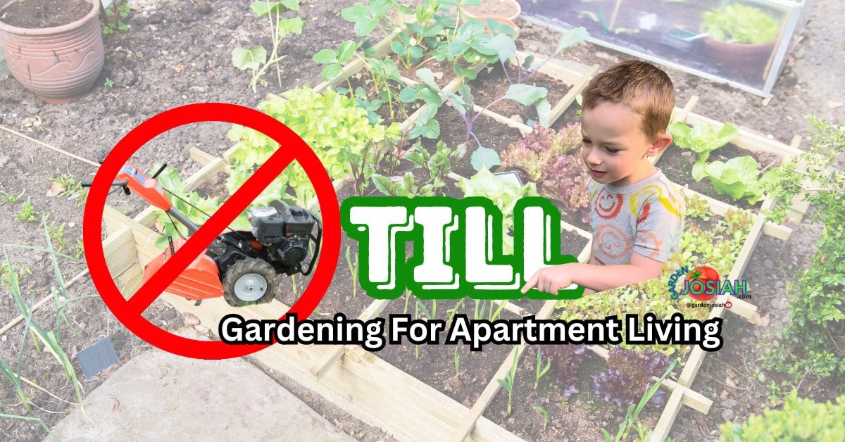 Till Gardening in Apartments