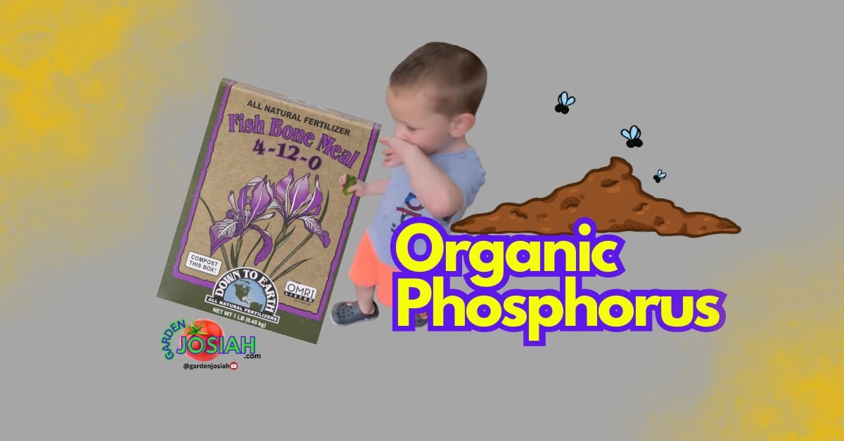 Organic Phosphorus