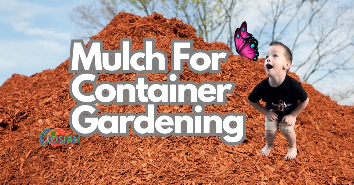 Mulch for Container Gardening