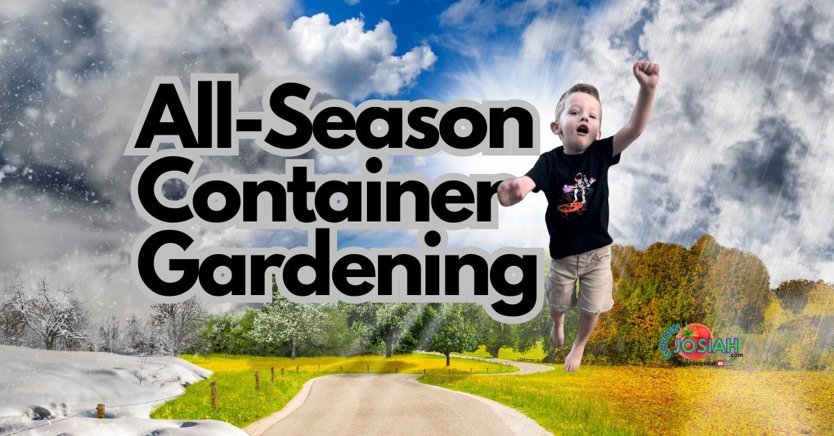 Year-Round Container Gardening: What to Plant Each Season