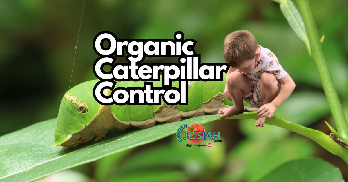 Best Organic Pesticides for Controlling Harmful Green Caterpillars