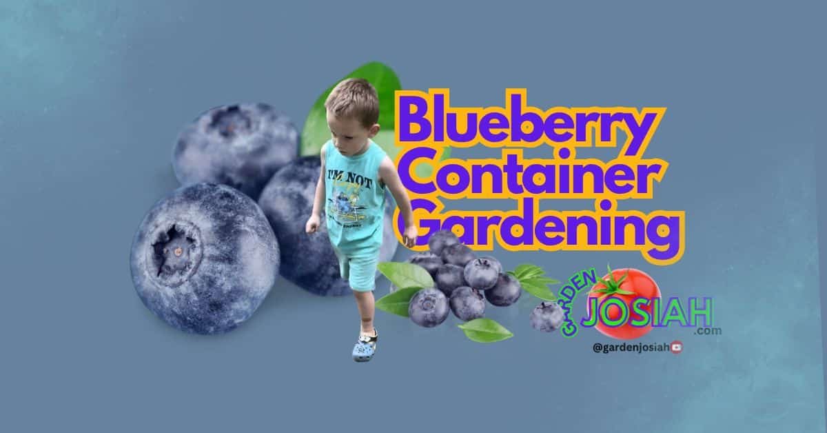 Grow Blueberries in Containers: Easy Gardening Tips