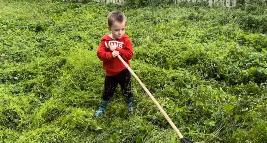 garden josiah