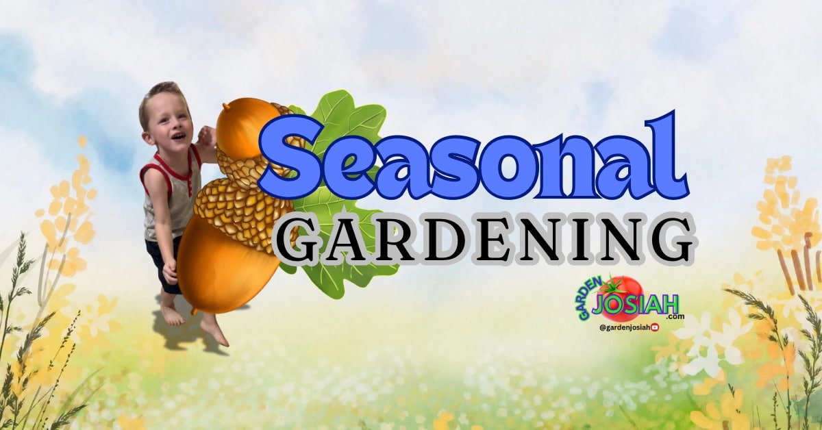 Seasonal Gardening : What to Plant and When