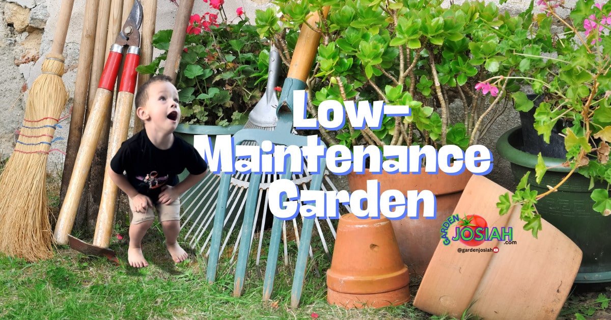 Creating a Low-Maintenance Garden: Easy Plants and Design Tips