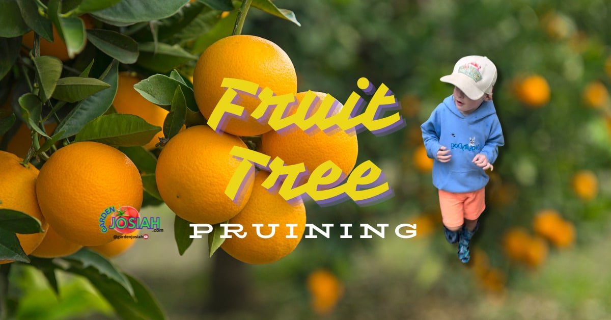 Advanced Pruning Techniques for Maximizing Fruit Production