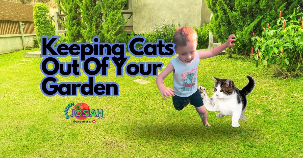 Keep Cats Out of Garden Beds: Effective Solutions