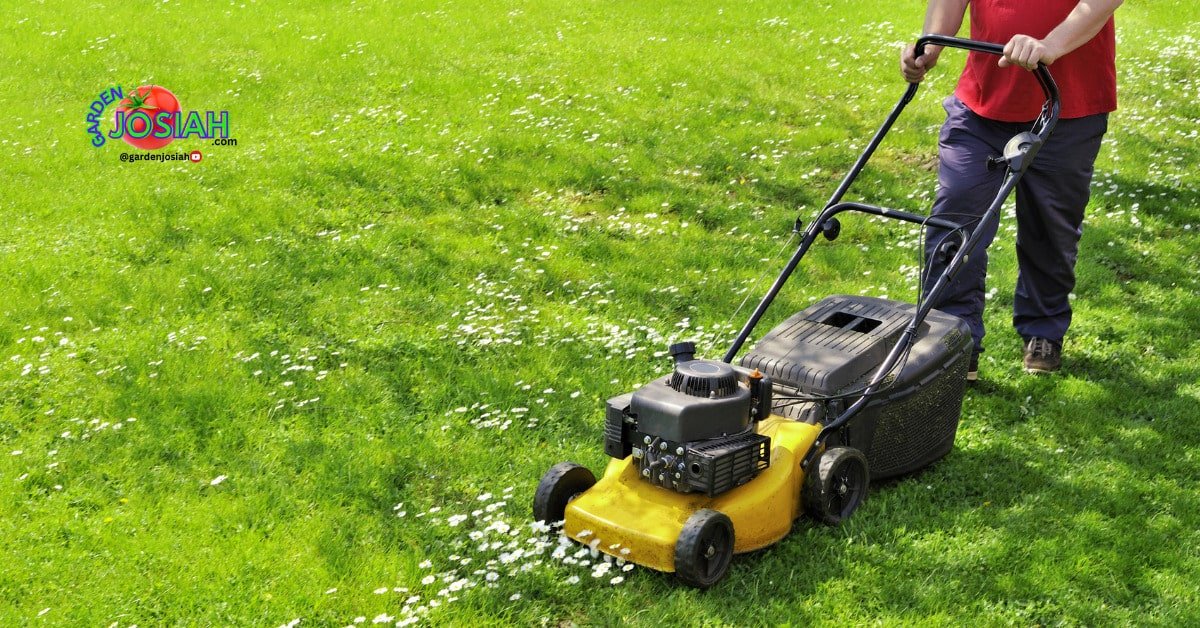 The Importance of Mowing Height: How to Cut Your Grass Without Damaging It