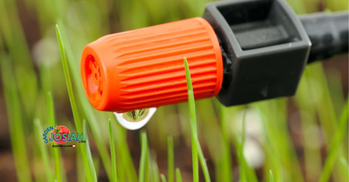 Essential Features to Look for in an Automated Watering System