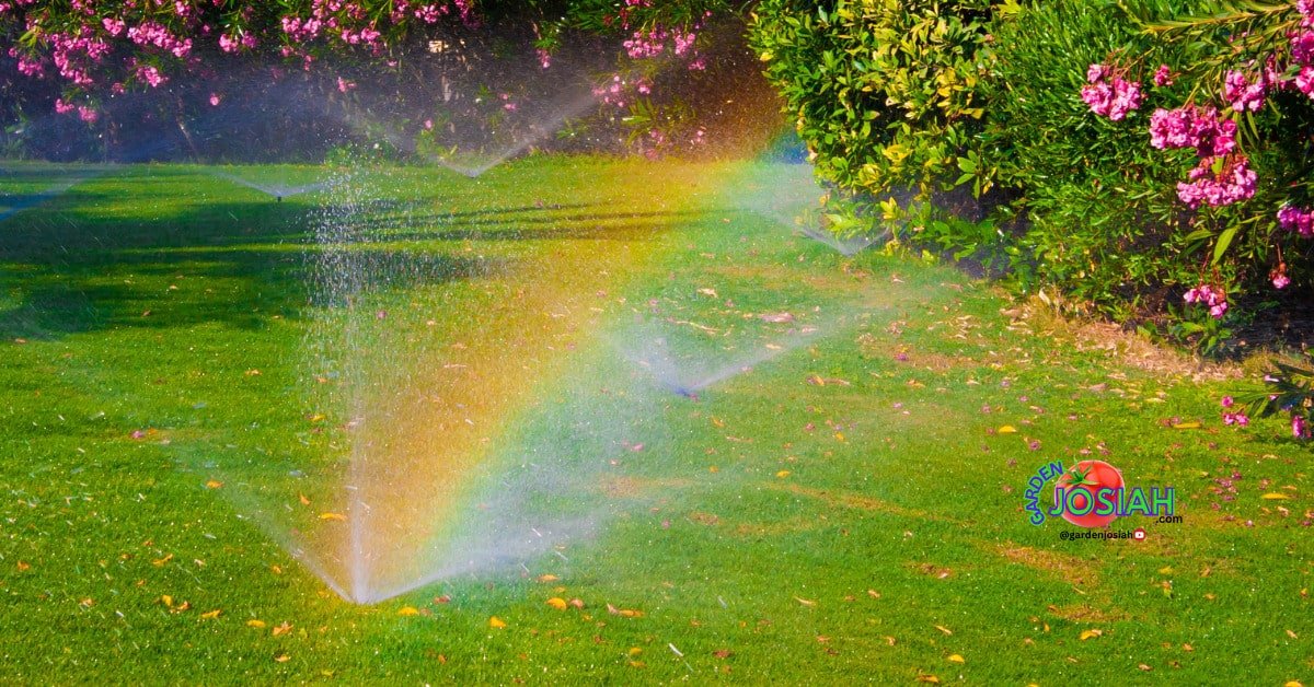 Choosing the Right Automated Watering System for Your Lawn