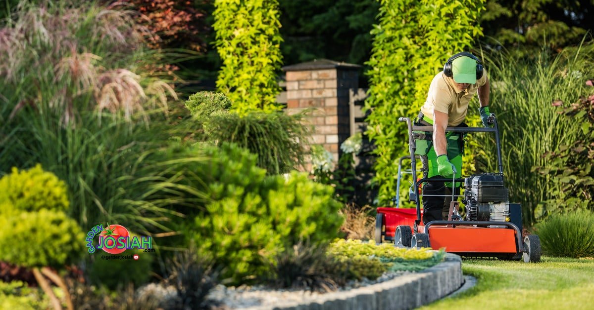 Aerating vs. Dethatching: Which Lawn Treatment is Best for Your Yard?