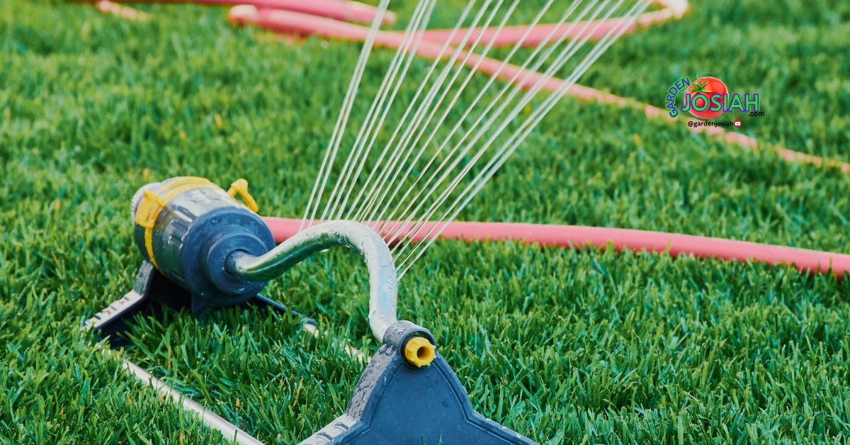 Lawn Watering 101: How Often Should You Water Your Lawn?