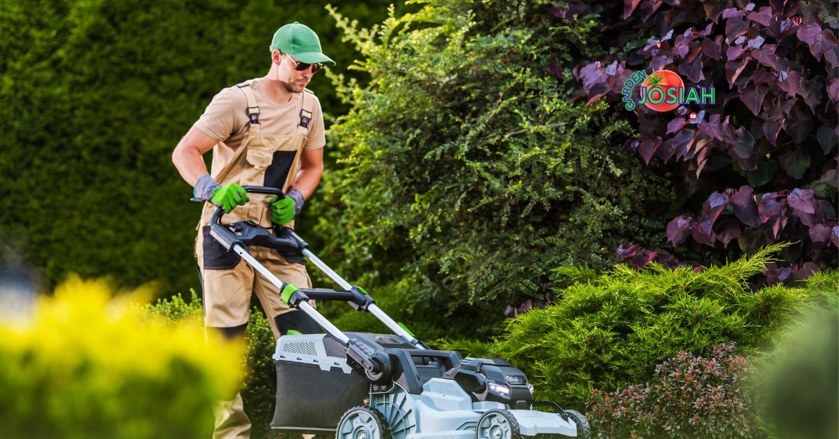 The Ultimate Guide to Organic Lawn Care: Safe and Eco-Friendly Practices