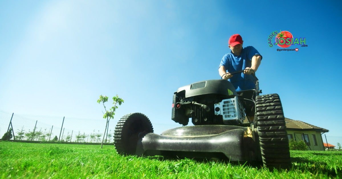 Top 5 Common Lawn Problems and How to Fix Them